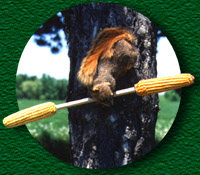 bf_squirrel_spinner_2150.jpg